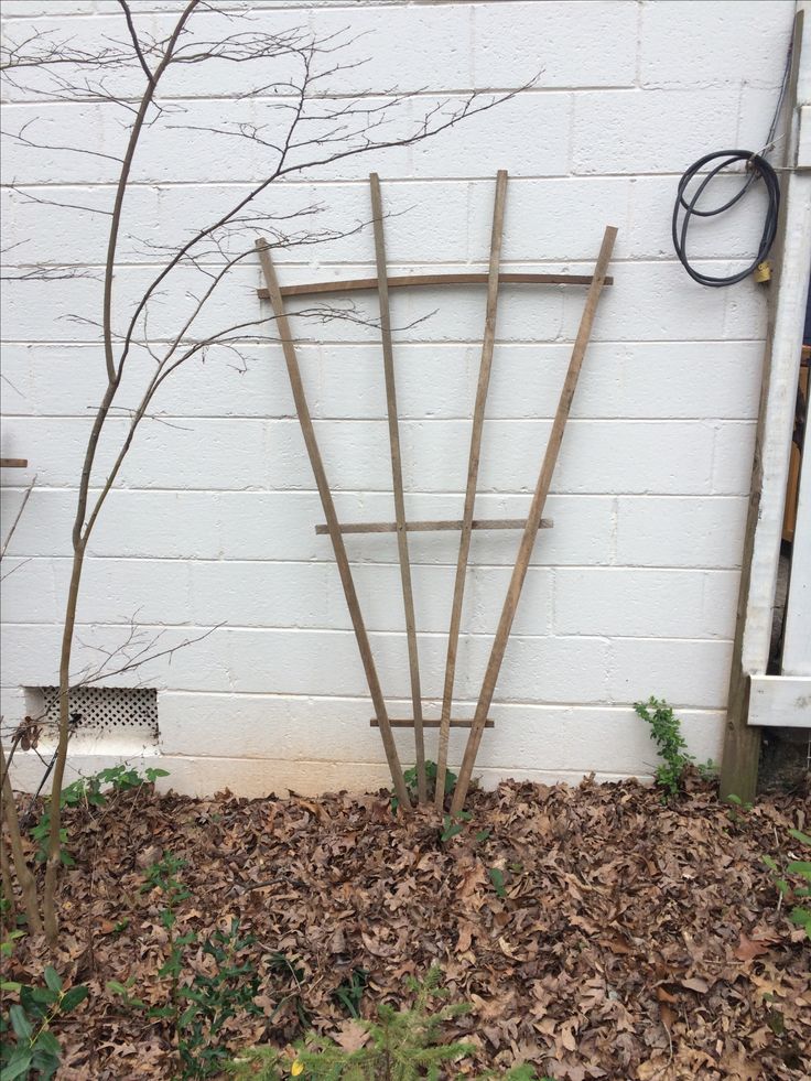 Outdoor craft project with tobacco sticks